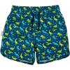 JAN & JUL UV Swim Shorts and Long Sleeve UV Shirt for Toddlers(Swim Shorts: Dinoland)