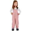 JAN & JUL Waterproof Snow Bib Pants with Fleece-Lining, Overalls for Toddlers and Kids(Cozy-dry: Prarie Flowers)